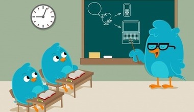 Onderwijsorganisaties